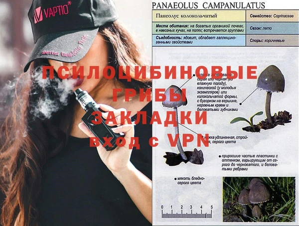 кристаллы Алексин