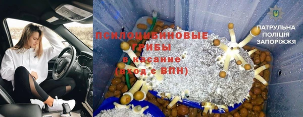 2c-b Алзамай