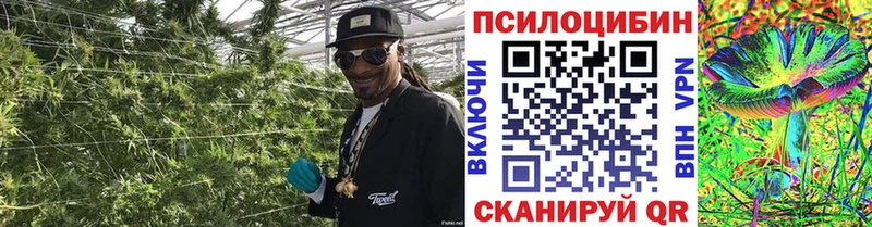 хочу наркоту  Кулебаки  Псилоцибиновые грибы MAGIC MUSHROOMS 