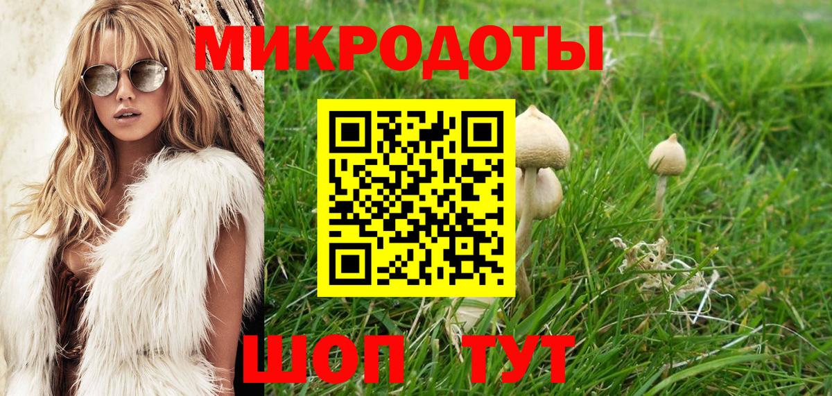 где найти   Вход с VPN  Кулебаки  Галлюциногенные грибы Cubensis 