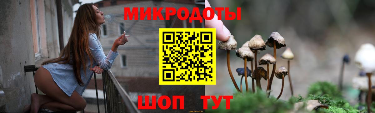 Псилоцибиновые грибы ЛСД Кулебаки
